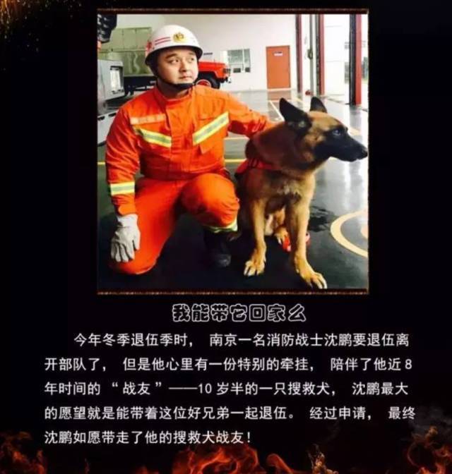 浴火重生的逆行者，肌肉越大責任越大，這才是真漢子——中國消防員(圖23)