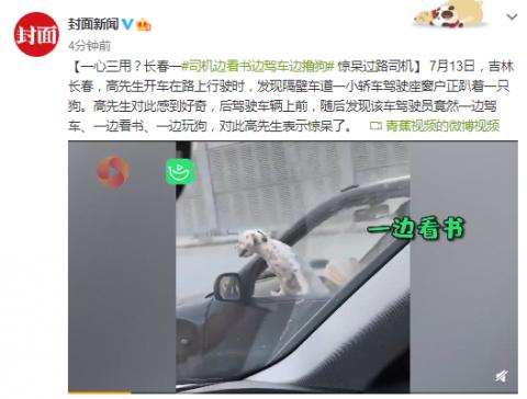 一心三用？司機(jī)邊看書邊駕車邊擼狗驚呆過路司機(jī)
