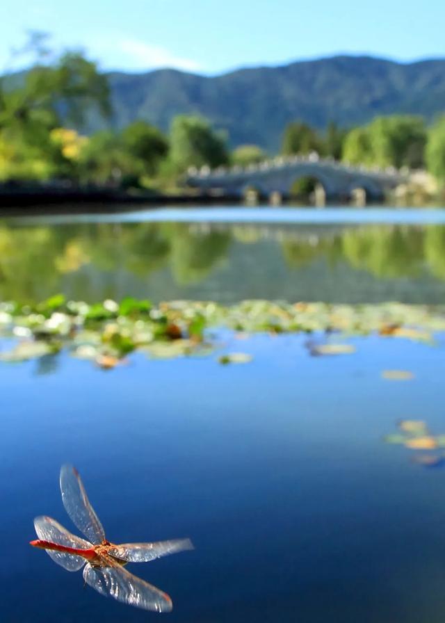 今日大暑丨迎風沐雨，憧憬未來(圖5)
