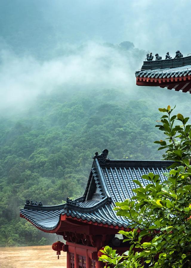 今日大暑丨迎風沐雨，憧憬未來(圖3)