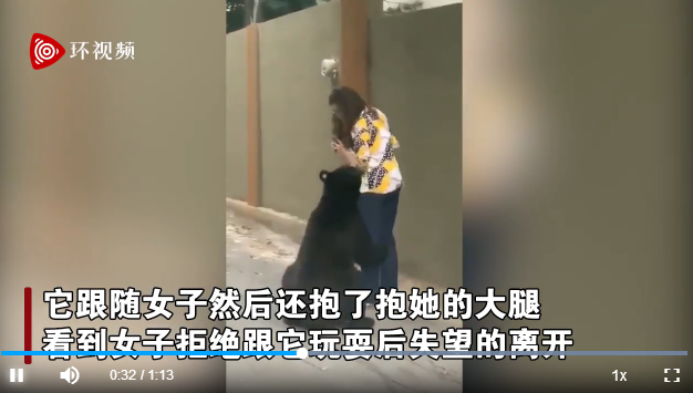 屢犯不改？墨西哥一只曾嗅女游客的黑熊又抱女子大腿 游客鎮(zhèn)定自拍