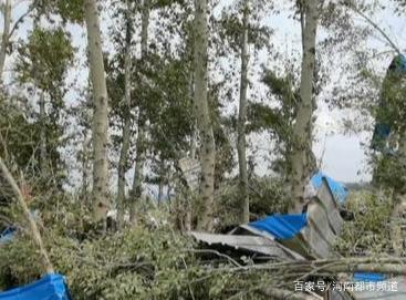 綏化突遭龍卷風(fēng)襲擊，房蓋在天上飛！村民：我70歲沒見過這事(圖6)