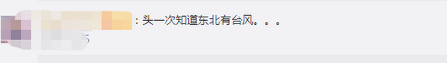 臺風(fēng)“美莎克”致吉林玉米大面積倒伏，像棉被一樣鋪在地上，減產(chǎn)已成定局(圖2)