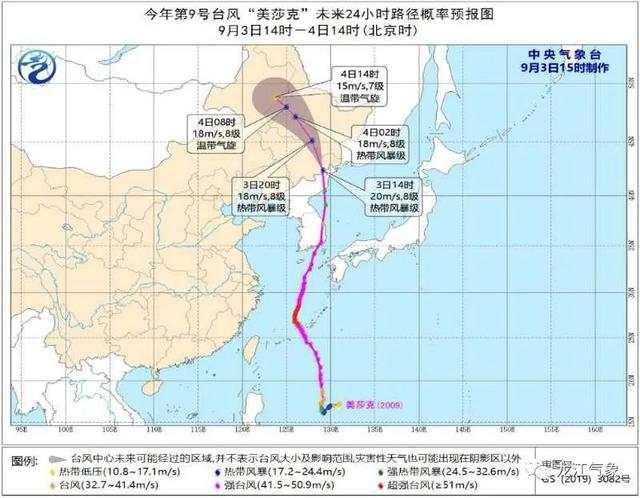 臺風(fēng)“美莎克”致吉林玉米大面積倒伏，像棉被一樣鋪在地上，減產(chǎn)已成定局(圖8)