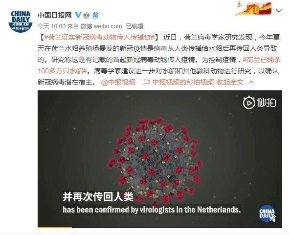 首起！荷蘭證實(shí)新冠病毒動(dòng)物傳人疫情鏈條：病毒從人類傳播給水貂后再傳回人類