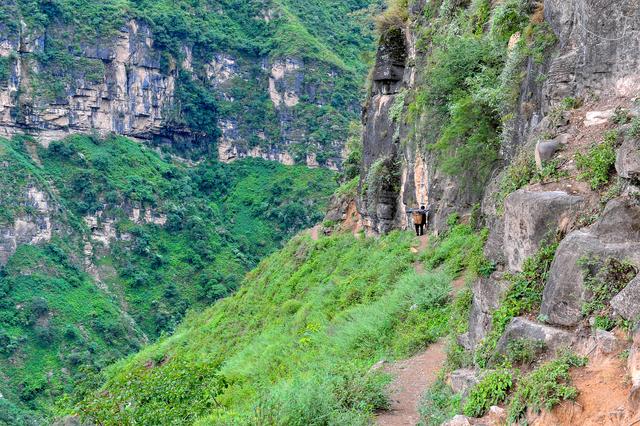 四川批準(zhǔn)涼山7縣摘帽脫貧！全省88個貧困縣全部清零